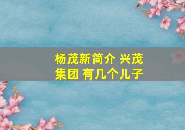 杨茂新简介 兴茂集团 有几个儿子